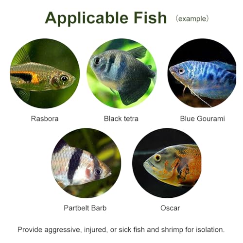 Fish Breeding Box, Fish Breeding Isolation Box Breeder Isolation Divider Hatching Box Acrylic Transparent Aquarium Hatchery Incubator Holder