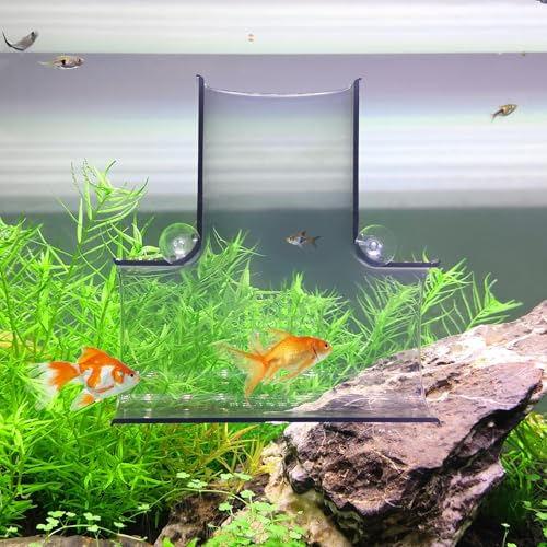 Aquarium Decorations Fish Tank Accessories for Shrimp Cichlid Hiding Breeding, Small Fish Bowl Hide Decoration, Acrylic Tube Tunnel for Betta Fish Tank Decorations, Aquarium Hideout with Suction Cups - color: T-Transparent Black