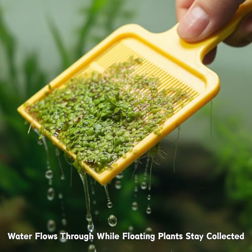 7.2 x 3.15 inch Duckweed Removal Tool for Aquarium – Floating Plant Skimmer for Fish Tanks & Ponds – Duckweed, Salvinia & Water Lettuce Remover – Durable Plastic (Yellow) - color: Yellow