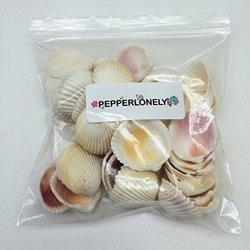 PEPPERLONELY Yellow Cockles Sea Shells with Pink Interior, 8 OZ 1-1/4 Inch ~ 2-1/2Inch