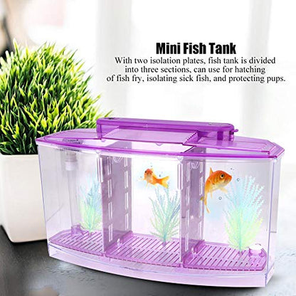 Mini Fish Box, Plastic Aquarium Isolation Box Acrylic Breeding Hatchery Small Fishes Incubator Mini Fish with Three Divisions and LED Light(Purple)