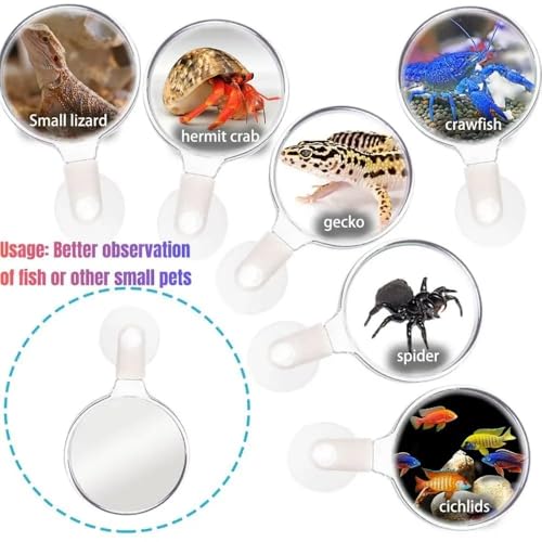 3 Pcs Aquarium Magnifying Acrylic Fish Tank Viewer Small Animal Plant Magnifier with Suction Cup Fish Tank Accessories