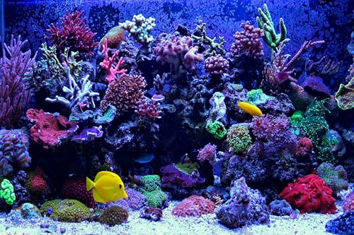 12x8ft Undersea Aquarium Backdrop Fish Tank Underwater Coral Tropical Fish Background World Fish Tank Diving Holiday Fishing Party Decoration Photo Props Wallpaper - size: 12x8FT