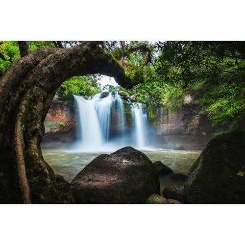 Waterfall Aquarium Background Jungle Forest Lake Stream Natural Landscape Fish Tank Background Tropical Plants Huge Rock Terrarium Backgrounds Jungle Old Trees Falls Reptile Tank Backgrounds 24x12in - color: Black_Green, size: 24(W)x12(H)inches/ 60(W)*30c
