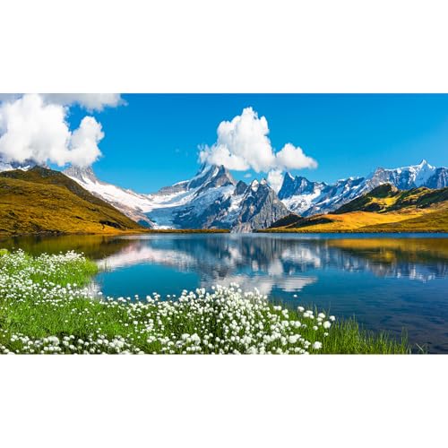Mountains Lake Aquarium Background Bernese range View Fish Tank Background Switzerland Alps Grindelwald Valley Lake Terrarium Background Fantastic Natural Landscape Aquarium Fish Tank Decors 24x12in - color: White Blue, size: 24(W)x12(H)inches/ 60(W)*30cm