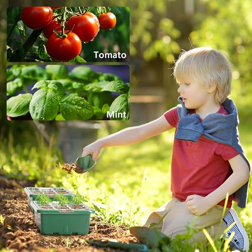 10 Packs Seed Starter Tray with Elevated Lid, 120 Cells Thicken Seed Starting Trays Kit with Adjustable Humidity Vent, Clear Cell Tray and Heightened Lids for Greenhouse & Gardens, Green - color: Green, size: 10 Packs, NO light