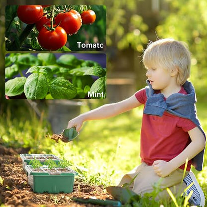 10 Packs Seed Starter Tray with Elevated Lid, 120 Cells Thicken Seed Starting Trays Kit with Adjustable Humidity Vent, Clear Cell Tray and Heightened Lids for Greenhouse & Gardens, Green - color: Green, size: 10 Packs, NO light