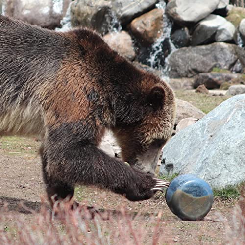 BearVault Canister for Backpacking. 4 Sizes: BV500, BV475, BV450, BV425. Bear-Resistant Food Container for Camping, Hiking, Fishing, Hunting, Bikepacking. BearVault is Bear Safe!