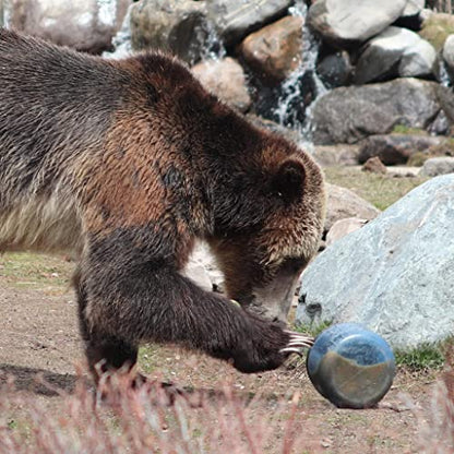 BearVault Canister for Backpacking. 4 Sizes: BV500, BV475, BV450, BV425. Bear-Resistant Food Container for Camping, Hiking, Fishing, Hunting, Bikepacking. BearVault is Bear Safe!