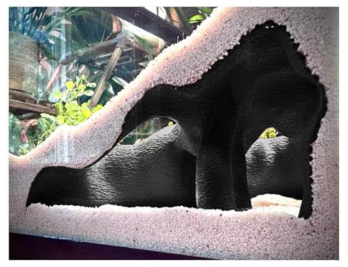 Aquarium & Terrarium Corner Underground Cave – Faux Mangrove Root Hideout for Betta, Corydoras, Shrimp, Geckos & Snakes – Natural-Look Tank Decor in Textured Root Style (Charcoal, 7.5" x7.5''x4)