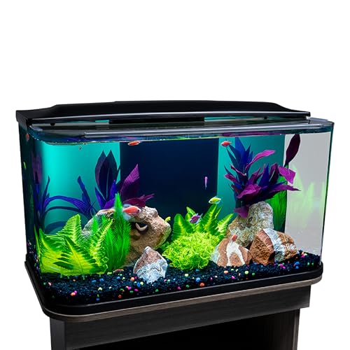 GloFish Glass Aquarium Kit, 20 Gallons, Includes Premium Blue, LED Light Stick & Integrated Filtration, Perfect for Beginners or Seasoned Hobbyists, Seamless, Curved Design - color: Clear