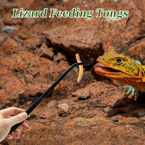 Reptile Feeding Tongs, Stainless Steel Lizard Feeding Tongs, Aquarium Curved Feeding Tweezers for Reptiles with Rubber Tip, Terrarium Feeding Tongs for Gecko, 14.96" Length, Black