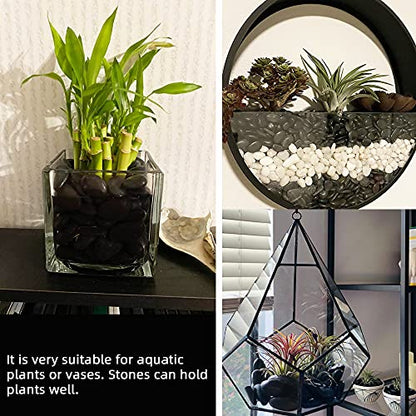 Black Pebbles for Plants 7lb Bulk Bag Aquarium Gravel 0.5"- 1" Decorative Polished Fish Tank Stone River Rocks - size: 7LB, style: Black