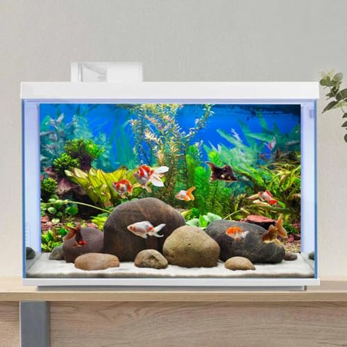AWERT 36x24 inches Aquarium Background Aquatic Plant River Bed & Lake Fish Tank Background Vinyl