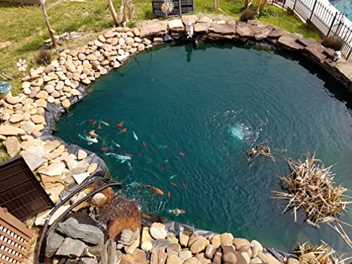 1 Inch (25mm) Metric Heavy Duty Smooth Pond Hose w/Free Hose Clamps, 16ft Roll (5M) Coiled Roll, PVC Strong Flexible Tubing for Ponds, Aquariums, Watergardens, Fountains & Aquaculture Applications