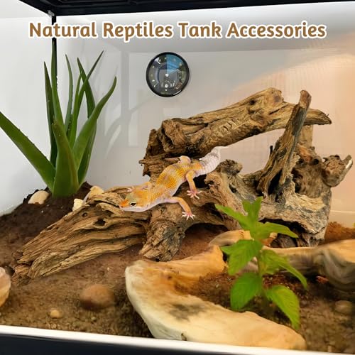 Large Natural Aquarium Driftwood Reptiles Branches Terrarium Ornament Sinkable Wood Decor Trunk Fish Tank Log Habitat Decoration (11"-17")
