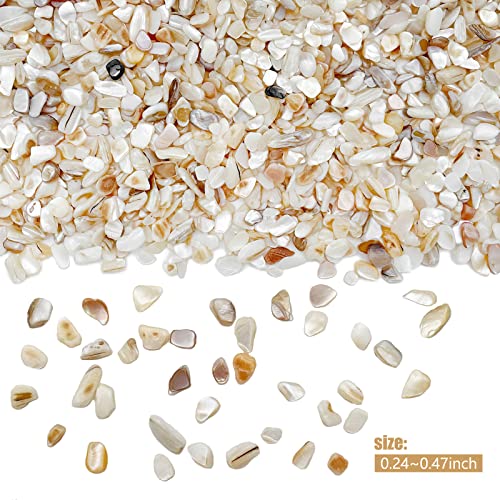 Crushed Shells for Crafts, Sea Shells for Kids DIY Art, Vase Fillers Table Scatter, Party Favor, Wedding Decoration, Succulents Plants Soil Cover, Art Crafts (Beige)