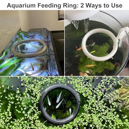 Clip On Fish Feeding Ring, Floating Aquarium Feeder, Non-Shedding Fish Food Holder for Betta Goldfish Guppy Turtle - color: White