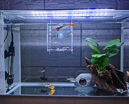Acrylic Fish breeding Box, Acrylic Fish Isolation Box, Fish Separator for Aquarium, Hatchery Incubator with Suction Cups for Small Baby Fishes Shrimp Clownfish Guppy (3.9 * 3.9 * 3.9inch) - size: 3.9 * 3.9 * 3.9inch