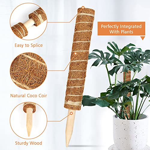 【4 Pack】 JJGoo Moss Pole, 17 inch Coco Coir Totem Poles Extending to 53 Inches, Plant Support Stick Plant Poles for Indoor Plants Climbing Plants Monstera, Sphagnum, Pothos