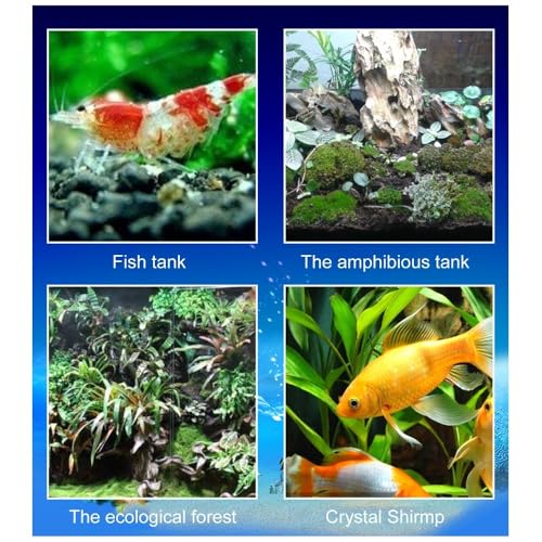 100Pcs Aquarium Divider Support Feet Adjustable Height Design PVC Tank Partition Legs for Fish Tank Cleaning Decoration(Black)