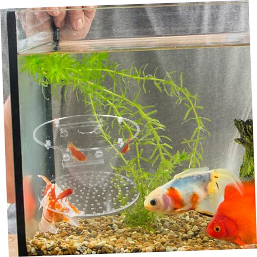 BESPORTBLE Fish Breeding Box for Aquarium Acrylic Isolation Chamber Floating Cover for Betta and Shrimp Breeding