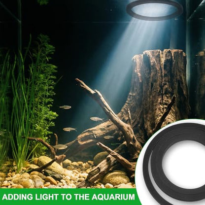 6PCS Aquarium Floating Plant Corral, Black EVA Fish Feeding Ring Set, Fish Tank Accessories for Mini Betta Tank, Floating Plants Holder|Feeder|Corral(3 Round + 3 Square) - style: 3 Round & 3 Square