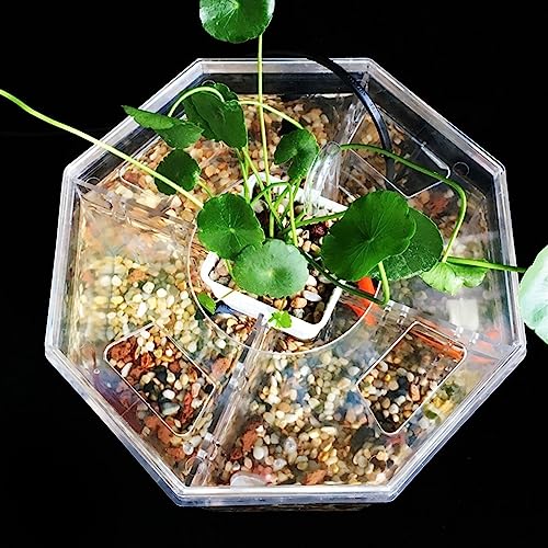 MACIUM Fish Bowl Vase Small Fish Tank Isolation Box Breeding Special Acrylic Transparent Fish Tank with Pump Filtration Ornamental Fish Tank Desktop Ornaments Small Fish Tank Starter Kit