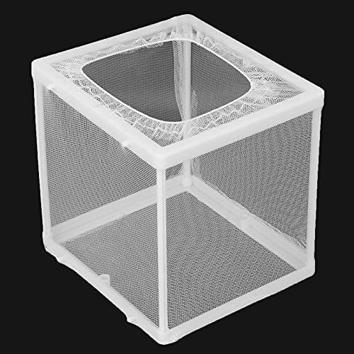 Aquarium Fish Breeder Box Isolation Box Breeder Hatchery Incubator with Suction Cup Fish Hatching Cage for Baby Fishes Shrimp Clownfish Guppy(S)