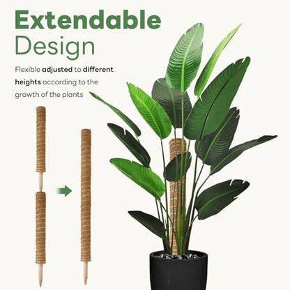 Moss Pole for Plants Indoor - 4 Pack Plant Supports for Climbing Plants to Grow Upright - 16 inch Stackable Moss Sticks Coir Totem Pole Plant Support for Monstera Pothos Philodendrons Potted Plants