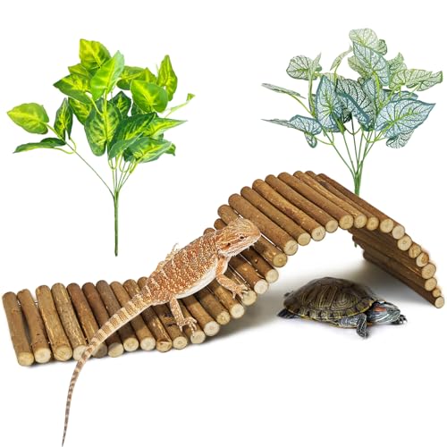 Reptile Hide Tortoise Hideout Bearded Dragon Wooden Bridge Snake Climbing Tunnel Habitat Decor for Lizards Spiders Gecko Ball Python (19.7x5.9 in) - color: Small-19.7x5.9in