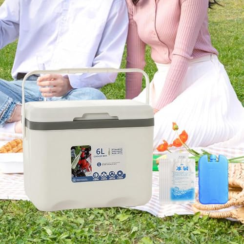 Menolana Camping Cooler, Ice Box Chest, for Freeze/Hot Food 6 L with Ice Pack Cold Storage Case for Yard Camping Beach Hiking Fishing - color: White