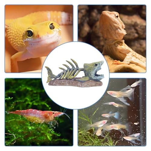 Fish Tank Decorations Resin Shark Skeleton Aquarium Decor Reptile Tank Accessories Ornament Fish Bone Hideout for Shrimp Lizards Geckos Spiders - style: Shark Skeleton