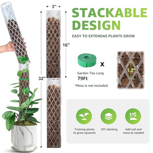 6 Pcs Monstera Moss Pole,Plastic Moss Poles for Climbing Plants Work with Sphagnum Moss,6×16'' Plant Support for Indoor Plants,Garden Ties