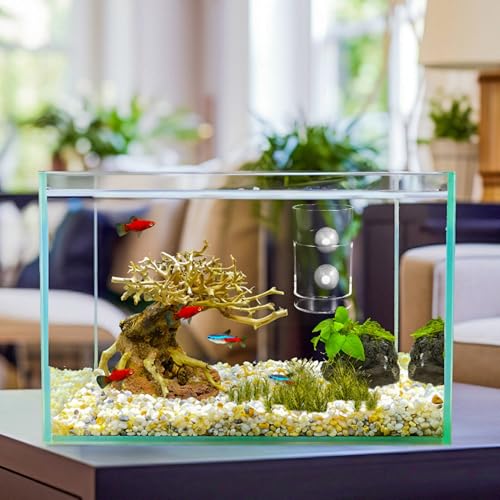 UKCOCO Aquarium Feeder Ring with Suction Cups Small Fish Feeding Cup for Tank Supplies Sinking Feeding Tube to Prevent Food Drift for Fish and Shrimp