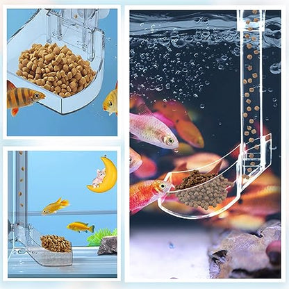 Aquarium Fish Shrimp Feeding Dish Set Clear Fish Feeder Tube and Dish with Cleaning Brush and Measuring Spoon for Feeding Shrimp and Preventing Food Scattering Feeding Supplies for Shrimp Large