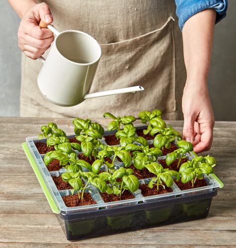 Burpee SuperSeed Starting Tray | 16 XL Cell | Reusable & Dishwasher Safe | for Vegetable, Flower & Herb Seeds | Indoor Grow Kit for Deep-Rooted Seedlings, Green - size: 16 Cells