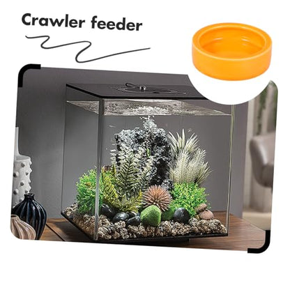 Crawler Pet Food Basin Pet Round Dishes Floating Feeder Bowl for Fish Tank