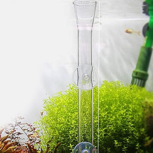 LIOOBO 1set Fish Feeder Transparent Shrimp Device for Fish Tank Multi-Functional Aquarium Supplies Box
