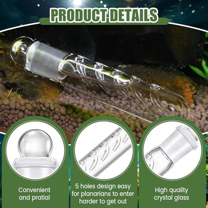 Qualirey 4 Pack Planaria Catch Trap for Aquarium Snail Leech Clear Glass Planaria Trap for Dwarf Shrimp Red Cherry Shrimp Tank(5 Holes) - style: 5 Holes