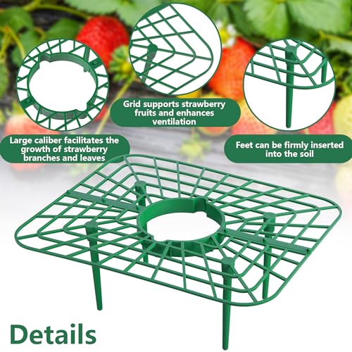 12 Packs Square Strawberry Supports-Strawberry Growing Racks- Plant Support Strawberry Stand Holder Growing Frame Keep Berries Clean