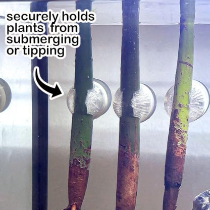 Magnetic Mangrove & Bamboo Holder for Aquariums (3 Pack) | Tank-Safe Magnets | Plant Mounts for Glass up to 1/4” | Aquascaping Support