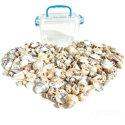 Tiny sea shells & 30 Tiny Starfish Decor Mixed Ocean Beach Spiral Seashells for Home Decor,Wedding Decor, Beach Decor, DIY Fish Tank and vase filler & decorative basket fillers (0.45"-1.35")