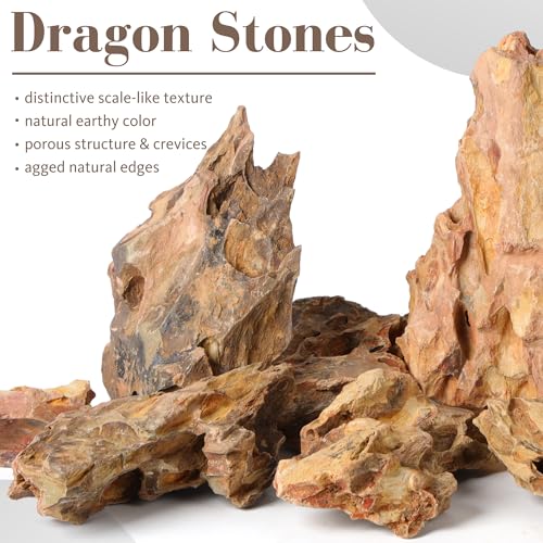 2.2-4.1 Inches Natural Dragon Stone, 10 PCS Small Aquarium Rocks for Aquascaping, Nano Tanks, Terrariums, Reptile Tanks & Aquarium Décor
