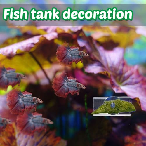 Betta Fish Tunnel Toys,Acrylic Hollow Betta Fish Hideout Tube Hollow Design for Small Fish Shrimp Betta Guppies