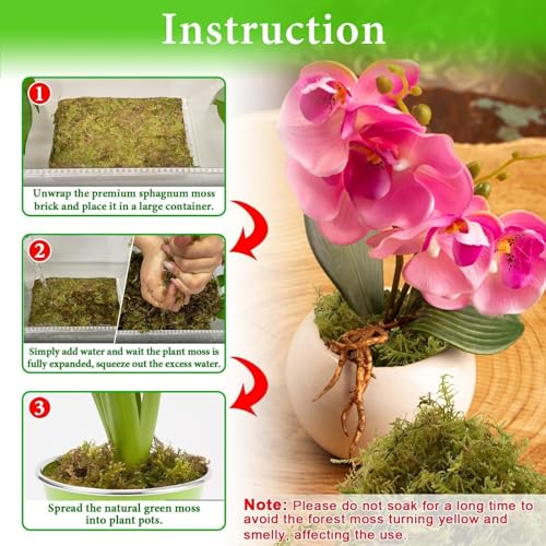 2.2LB Premium Sphagnum Moss for Plants, 50QT Green Moss for Plants Indoor Potted Orchid Moss for Repotting Succulent Carnivorous Terrarium Gardening Reptiles