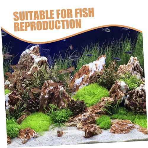 BESPORTBLE 5pcs Fish Breeding Tube Shelter Acrylic Aquarium Decor for Fish and Shrimp Hiding Breeding and Resting Tanks