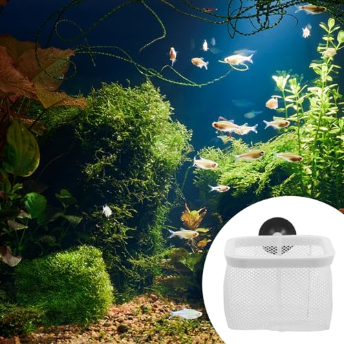 WOONEKY Fine Mesh Fish Tank Isolation Net Cups Hatching Holder for Small Fish Breeding and Spawning Aquariums Easy to Install and Clean