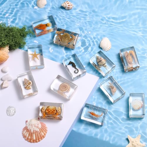 12 Pcs Real Ocean Animal & Insect Specimens in Resin - Educational Science Display Collection with 12 Unique Styles - Perfect for School Projects, Bug Collectors & Home Decor
