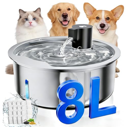 Dog Water Fountain, 8L Stainless Steel Dog Water Fountain for Large Dogs, Dog Water Bowl Dispenser, Super Quiet Pump and Replacement Filters for Cats and Dogs (Silver-8L+16Filters) - color: Silver-8L+16Filters
